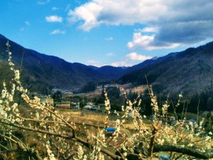 Social Distancing in the Hills of Matsumoto
