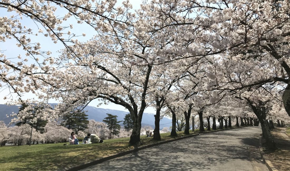 城山公園