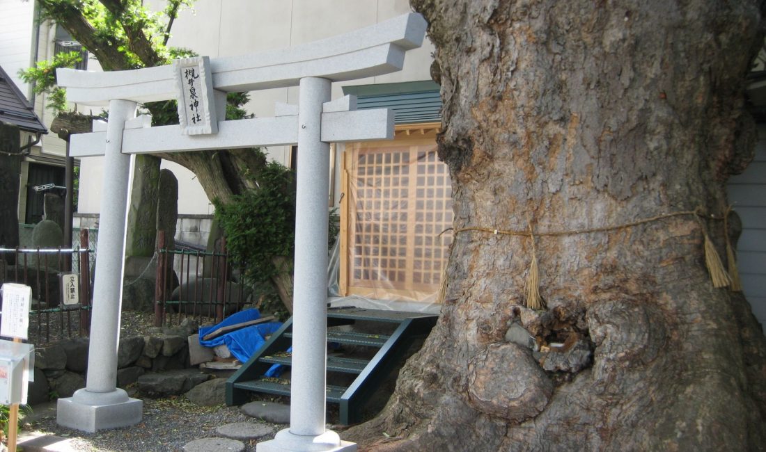 その日は、もうすぐ