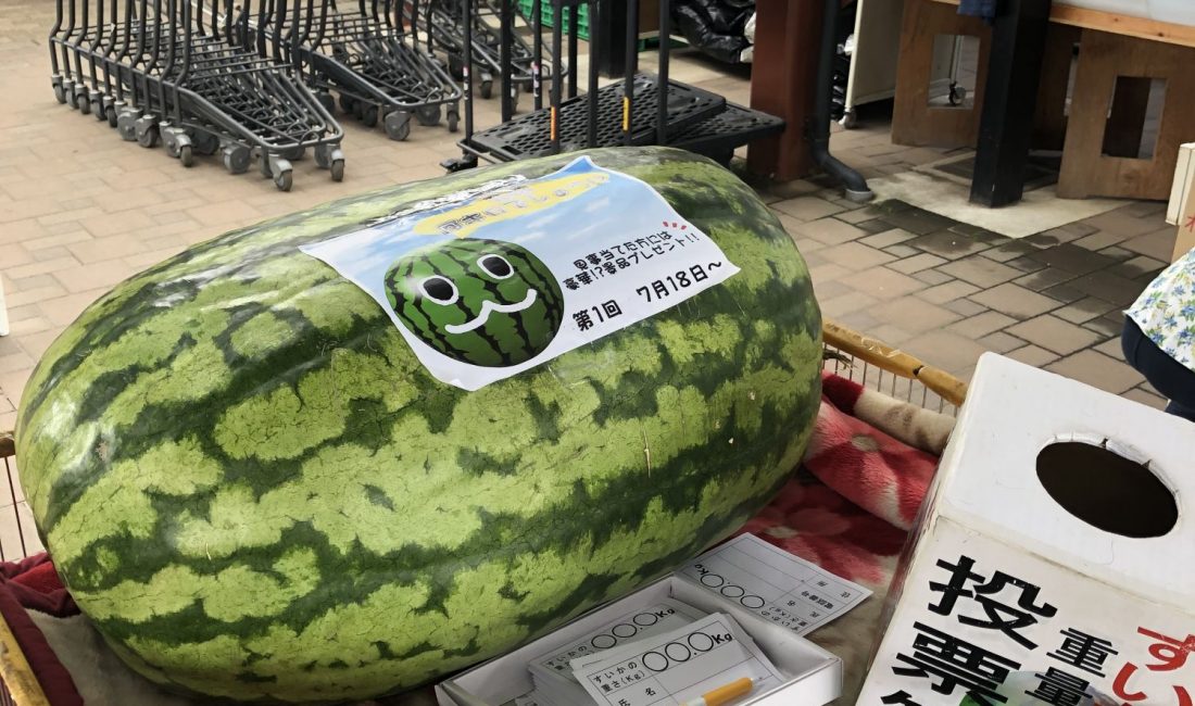 农贸市场:惠之乡(松本市今井)