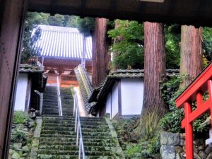 Kotaku-ji: Quiet Temple, Cool Details