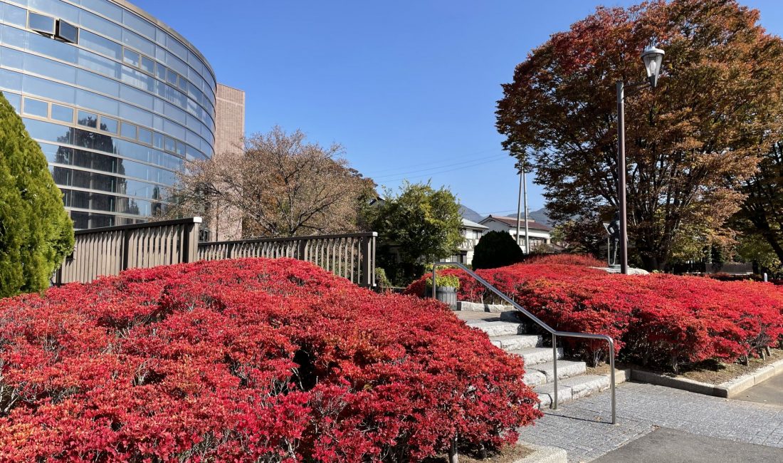 10月的紅葉????