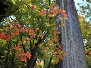 街中も紅葉が始まりました。四柱神社