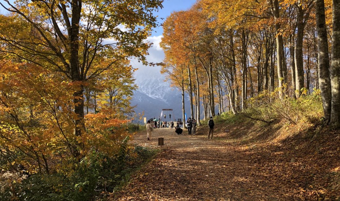 เที่ยว Hakuba สกีรีสอร์ทชื่อดังของนากาโน่ด้วยรถไฟ JR Resort View Furusato
