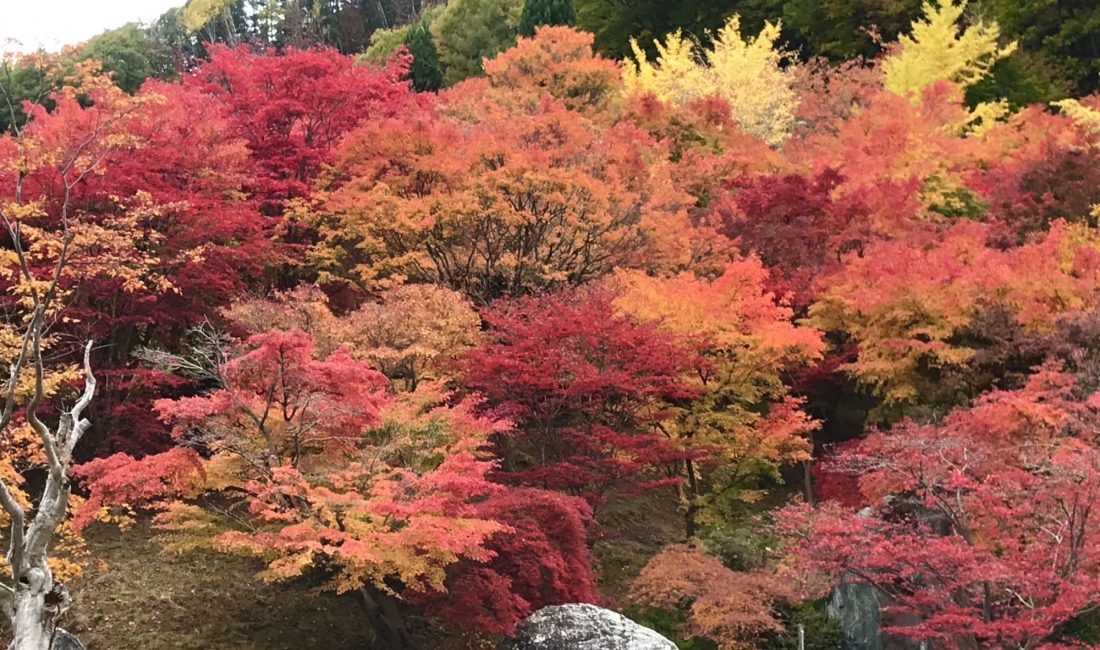 隠れ紅葉スポット　－四賀ー