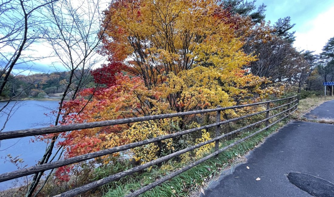 垂釣於「美鈴湖」之紅葉景