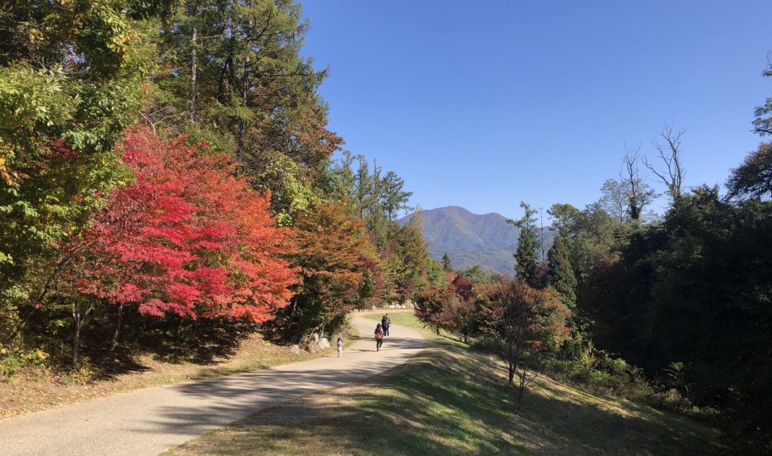 松本市内及周边的秋红，美极了！