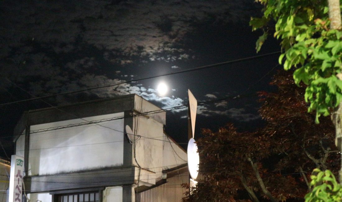月夜の晩にみどり食堂に行って来ました!