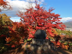 隠れ紅葉スポットー松本最古の城址公園 城山公園－