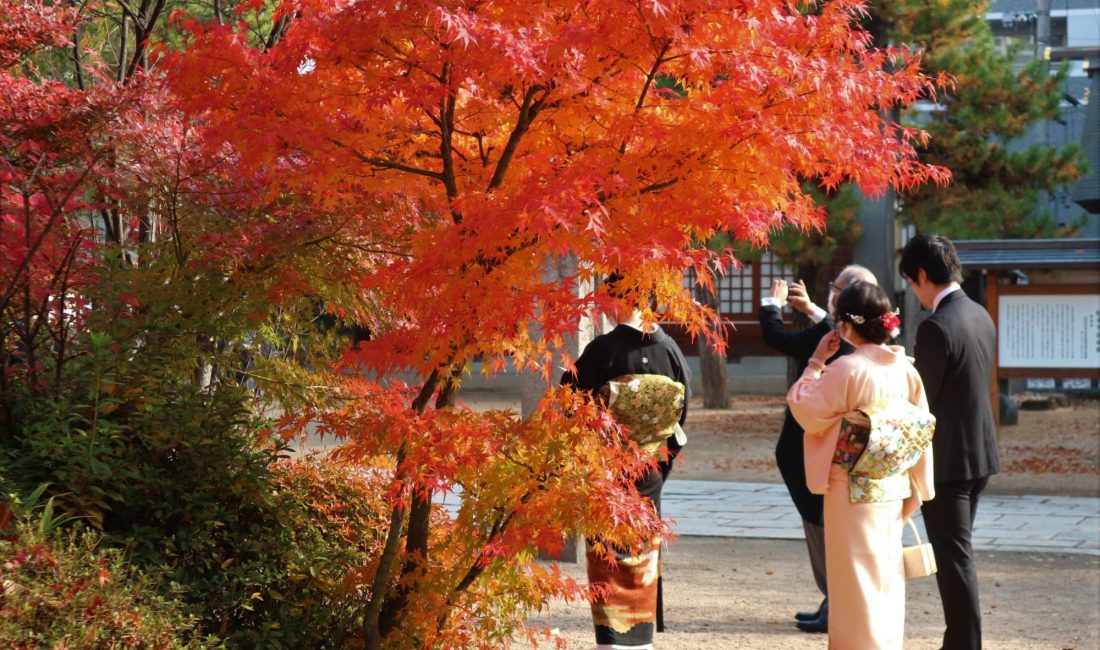 紅葉と水辺のタクティカルアーバニズム 四柱神社紅葉と幸橋