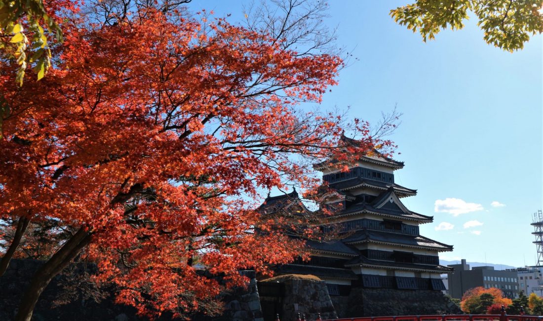 紅葉散歩　国宝松本城～松本神社～国宝旧開智学校校舎～大日堂その①
