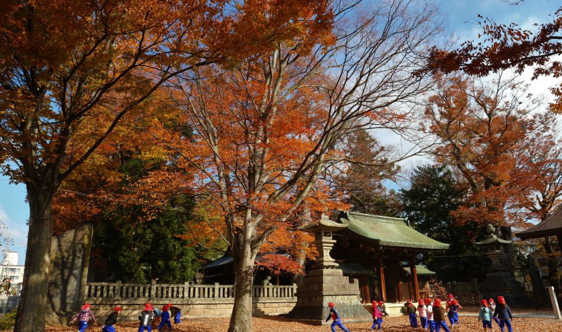 岡宮神社紅葉情報　落ち葉が楽しい！