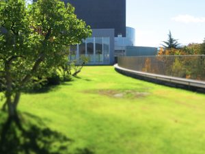 市民芸術館界隈の秋