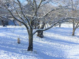 Schnee im Dezember