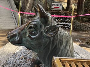 牛年初访“牛伏寺”