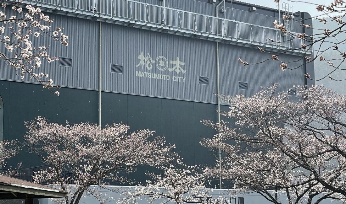2012.3.30 AM 松本市営球場の桜