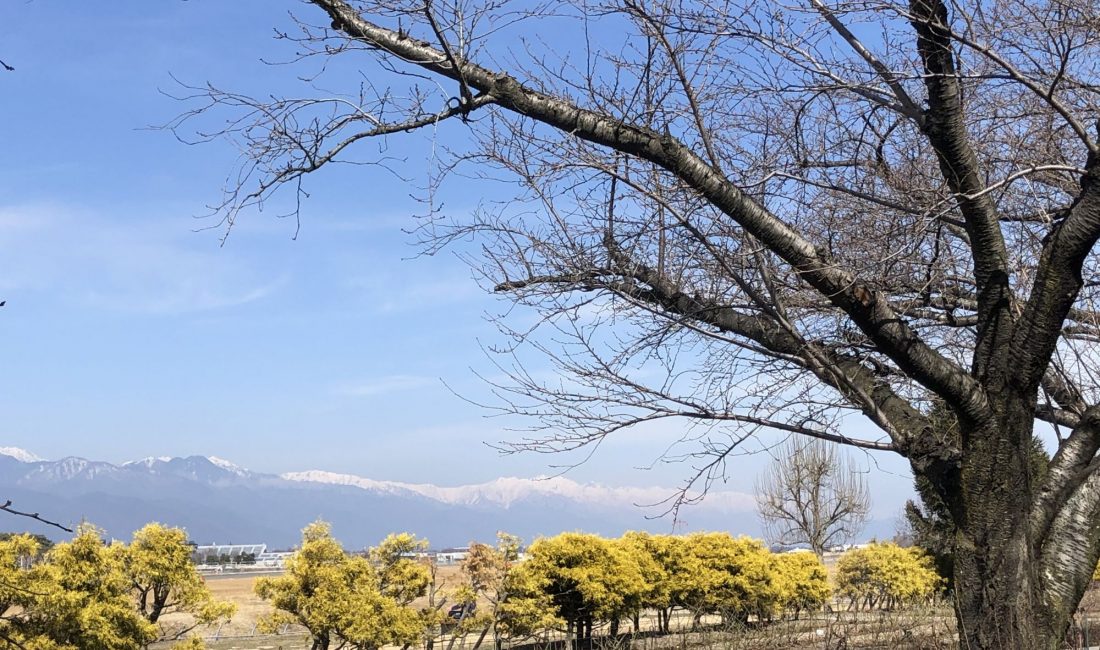 เดินออกกำลังกายที่สวนสาธารณะชินชูสกายพาร์ค (Shinshu Sky Park)