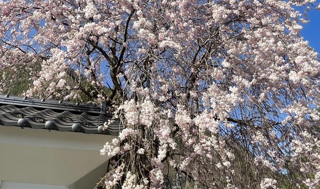 安曇地区大野田のバス停