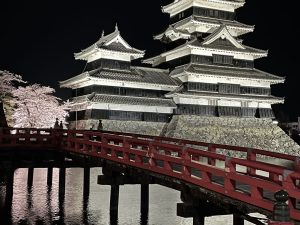松本城の桜並木光の回廊　夜桜満開