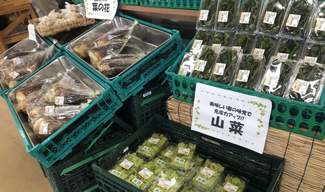 农贸市场的春山菜