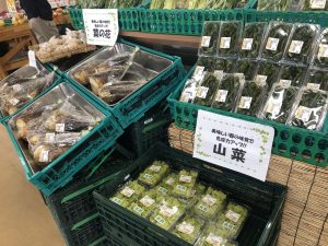 农贸市场的春山菜