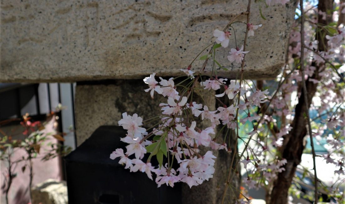 三峯神社 上土通り