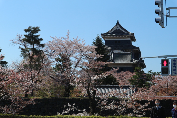 空が綺麗な1日でした！お城周辺