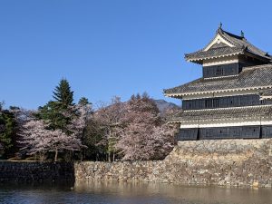 Les Sakura à Matsumoto – Partie 3 : Le Château de Matsumoto