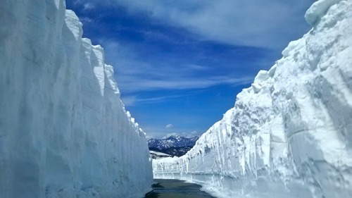 乗鞍岳、雪の壁が圧巻ですっ!!