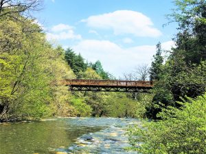 Karasukawa-Flusstal (烏川渓谷緑地)
