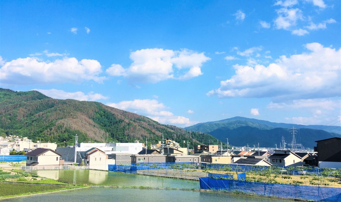 Jahreszeiten in Matsumoto: Der Monat Mai