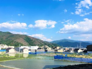 Jahreszeiten in Matsumoto: Der Monat Mai