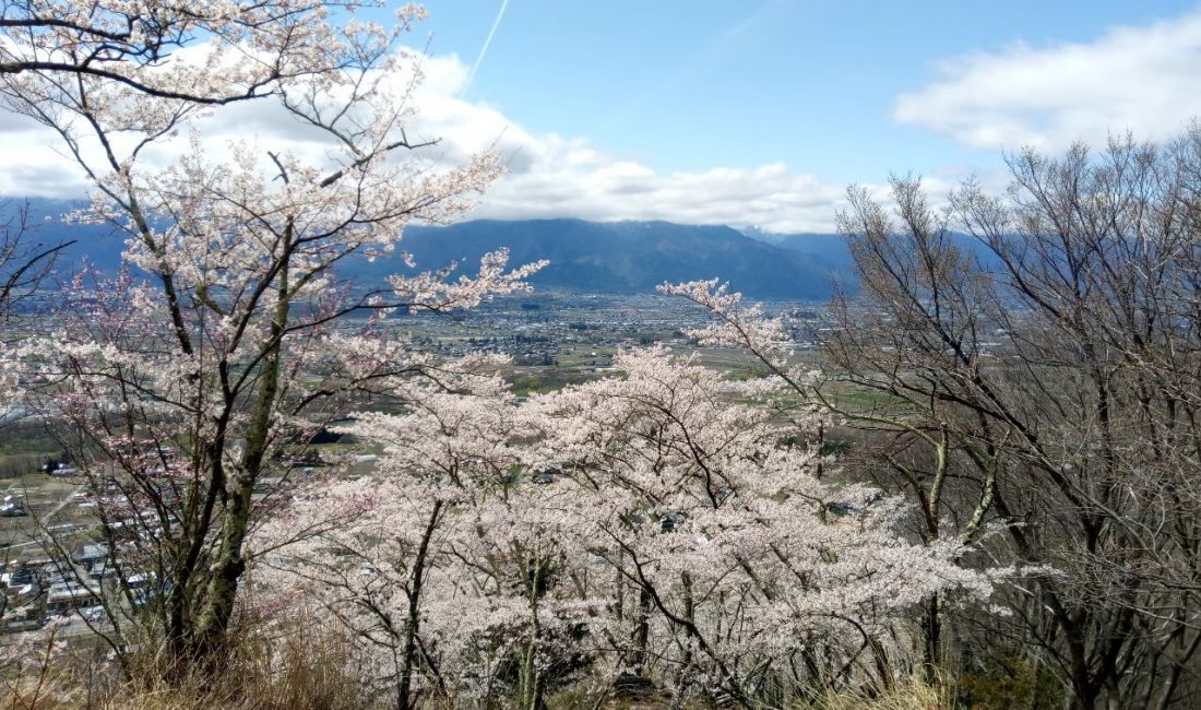 **Spécial Printemps** Matsumoto et ses couleurs printanières