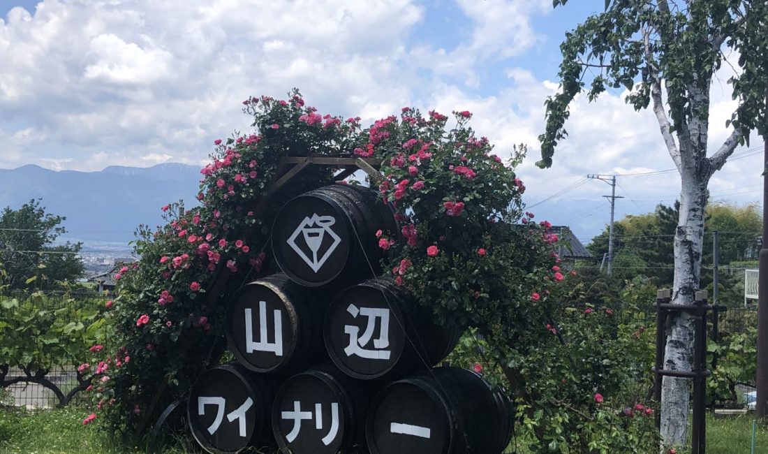 里山边的葡萄酒厂