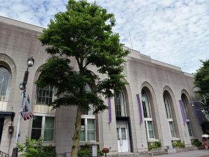 まつもと湧水巡り「大名小路井戸」シナノキの薫りに包まれて