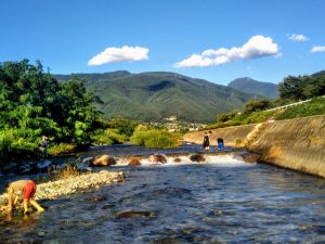 Swimming in Summer, Beauty Year-Round: Susukigawa Ryokuchi Park