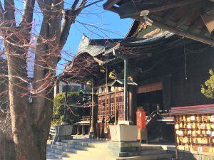 Vier auf einen Streich: Der Yohashira-Schrein (四柱神社)