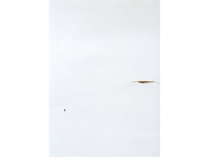 EXHIBITION｜菊地和歌子「echo / 潜る」