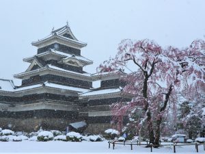 国宝松本城 春の雪と桜