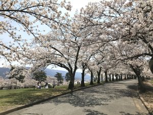 城山公園