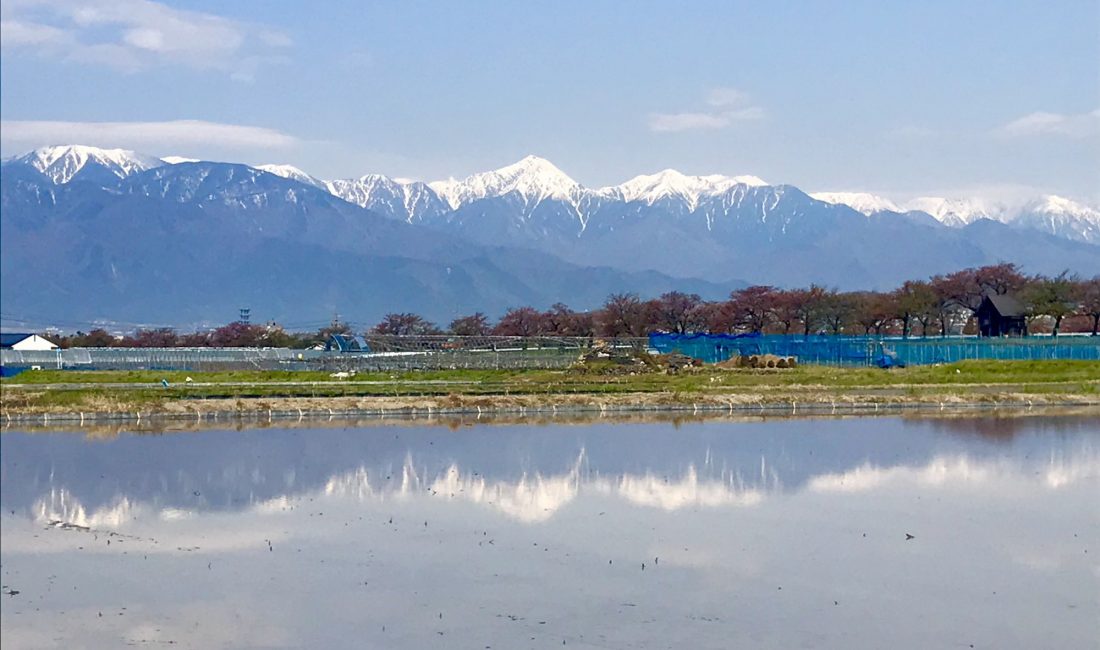 この時期の楽しみ　水鏡！