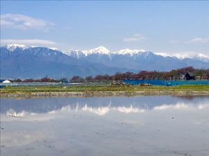 この時期の楽しみ　水鏡！