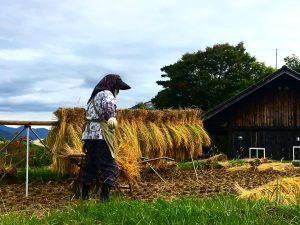 Respecter la vie rurale locale