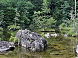 Myojin-ike Pond: The Quieter Side of Kamikochi
