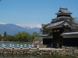 ＃おうちで松本　新緑が美しく季節になりました。
