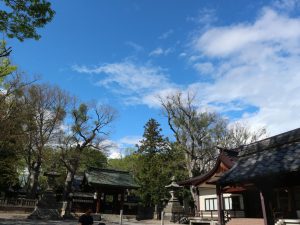 ＃おうちで松本　春祭りも中止されましたが、新緑は美しい夏日の松本