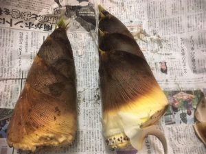 ＃おうちで松本　信州松本 春の恵み山菜を頂く