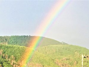 Auf Regen folgt Sonne …