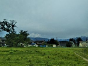 Igawa & Ogasawara: Minor Names with Major History