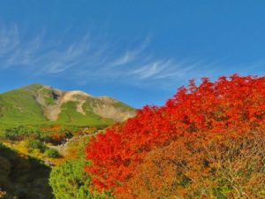 乗鞍岳の紅葉は、今週末がピークです！！